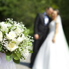 Михаил Дмитриев - Свадьба белая