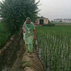 Pind_harf cheema