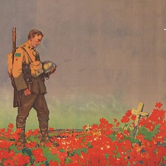 Flanders Fields