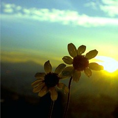 Wonderful World - Sam Cooke