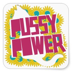 DA P.U.S.S.Y POWER HA
