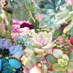 ☼ relax/2.17.14 ☼