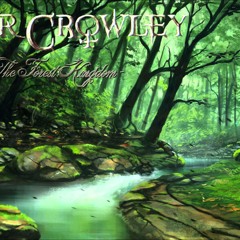 Celtic Music - The Forest Kingdom - Peter Crowley Fantasy Dream - [HD]