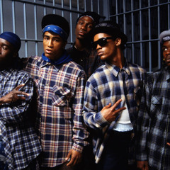 Ice T - Colors (DuckAlert Mix)