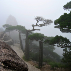 HAND OVER FIST [PROD. CATSOUP//HEAVYHEARTS]