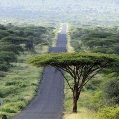 New Oromo Music &quot;KOO NALAALII IJJA KETIIN