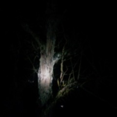 darkniss of you
