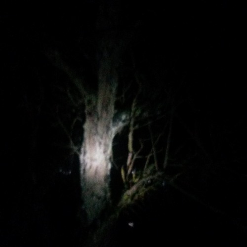 darkniss of you