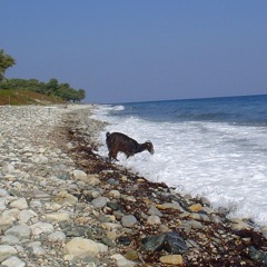 Fieldrecording: Pebble beach, Samothraki, Greece