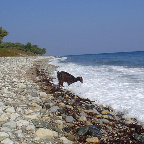 Fieldrecording: Pebble beach, Samothraki, Greece