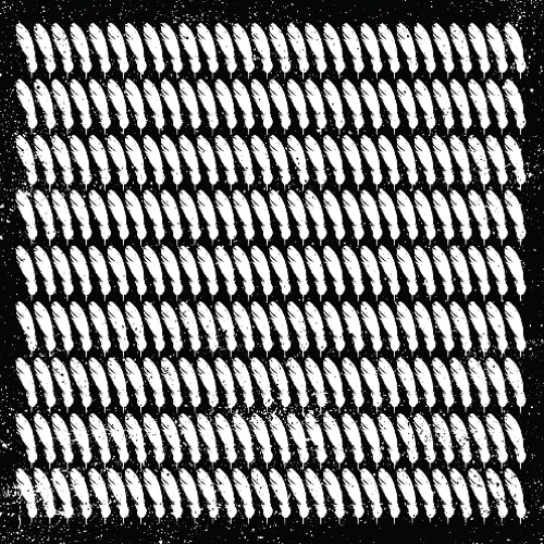 The Black Angels - Molly Moves My Generation