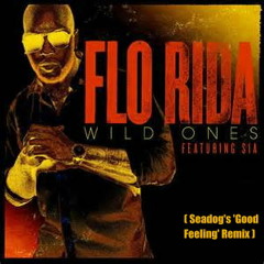 Flo Rida Feat Sia - Wild Ones (Seadog's 'Good Feeling' Remix) (Radio Edit)