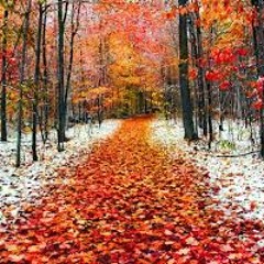 November