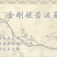 《金剛經》王菲居士(經文版)