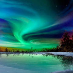 Flabethed Leveret I Toner Rybodrop