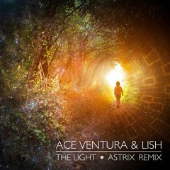 Ace Ventura & Lish - The Light (Astrix remix) SAMPLE