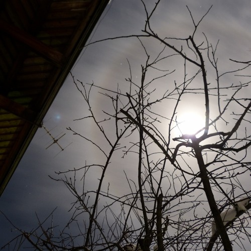 Novemberzauber (TPC Four Chord Challenge 2014)