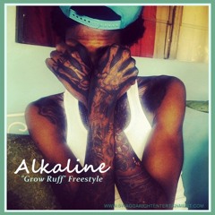 ALKALINE - IN THE WORLD [RAW] FRASS HOUSE RIDDIM NOVEMBER 2014