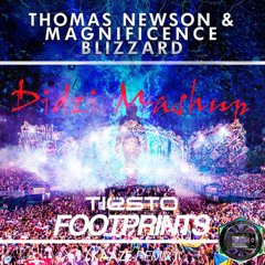 Tiesto (Kaaze Remix) Vs Thomas Newson - Blizzard Footprints (Didzi Mashup)