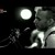 Artwork for Asaf Avidan - Love it or Leave it (Chocolive)