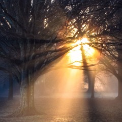 Winter Sun