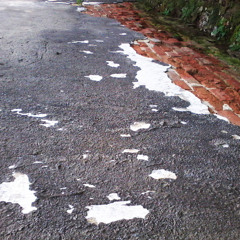 Vizslapark - Sunrise In The West