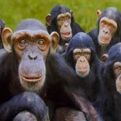 Mantequilla's Revenge (Prod. by Logic Loops)