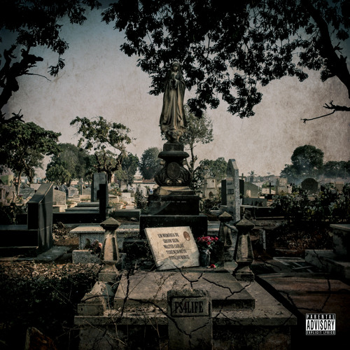 Força Suprema - ICQVida