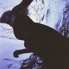 Youth- Daughter Cover by Becca Simone *UPDATED AUDIO QUALITY*