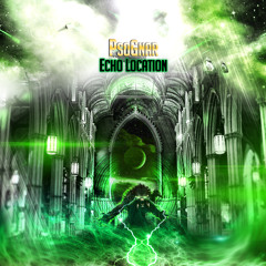 PsoGnar - Echo Location (Original Mix)