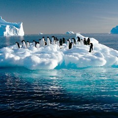 sasan sattarzade project _ Freeze Part II and III