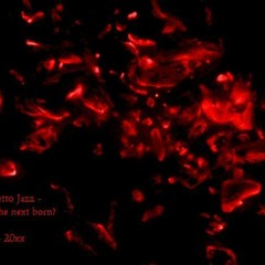 Who´s the next born? The Ghetto Jazz