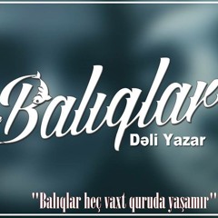 Dəli Yazar - Balıqlar