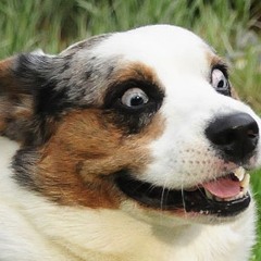 falls - forget #u ($SOUNDS$ Bootleg Remix)