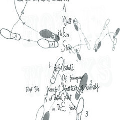 Walking And Making Housework for the First Time Through the Finnegans Wake (excerpt)