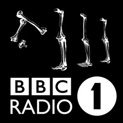 Stanton Warriors - Bone (Monki BBC Radio 1 Rip)