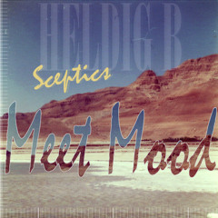 Meet Mood (heldigB danmark)