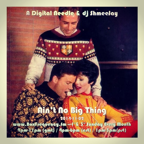 A Digital Needle & dj ShmeeJay - Ain't No Big Thing - 2014-11-02