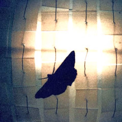 All I Need - Radiohead cover by daidono // Ola Szmidt