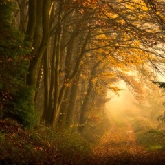 A Path