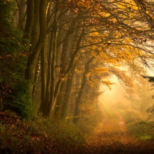 A Path