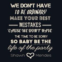 Life of the Party (Shawn Mendes Original | Cover by Ceidge and Shu)