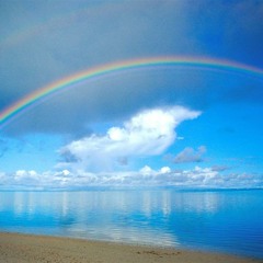 Chip's Happy Morning