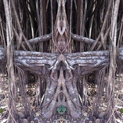 Ancient Ritual