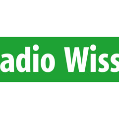 Filburt - Club Der Republik  DRadio Wissen - 2 hours of O*RS