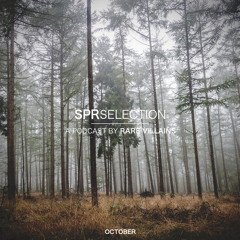 SPRSELECTION OCTOBER. by Rare Villains