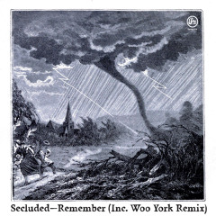 Secluded - Remember (Soma 414)