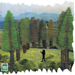 Standing In The Shade