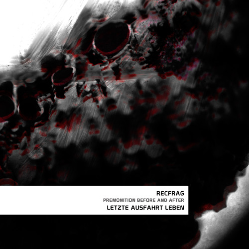 RecFrag - Dissection