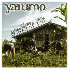 4. Yarumo - Mujer Y Serpiente